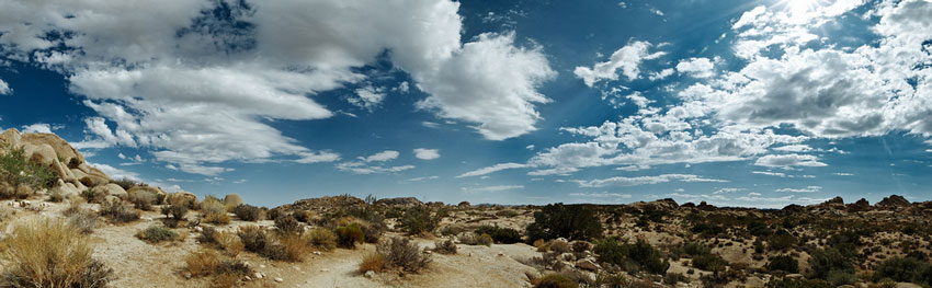 Pine city trail