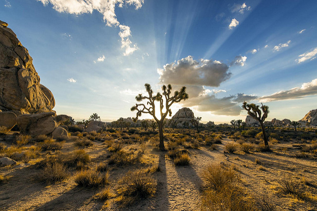 photos of california