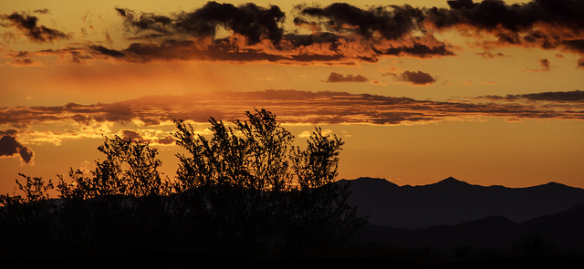 arizona lonely planet