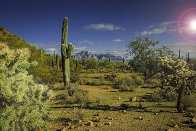 arizona-landscape