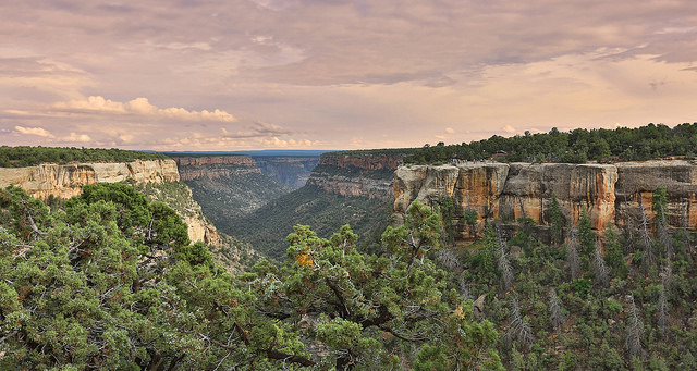 mesa verde